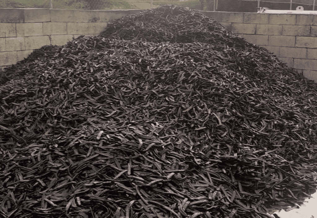 pyramide de caroubes vendues par les locaux