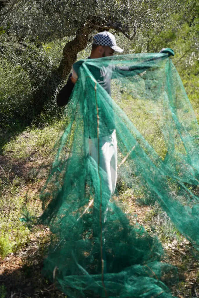 filet amazon non adappté au terrain