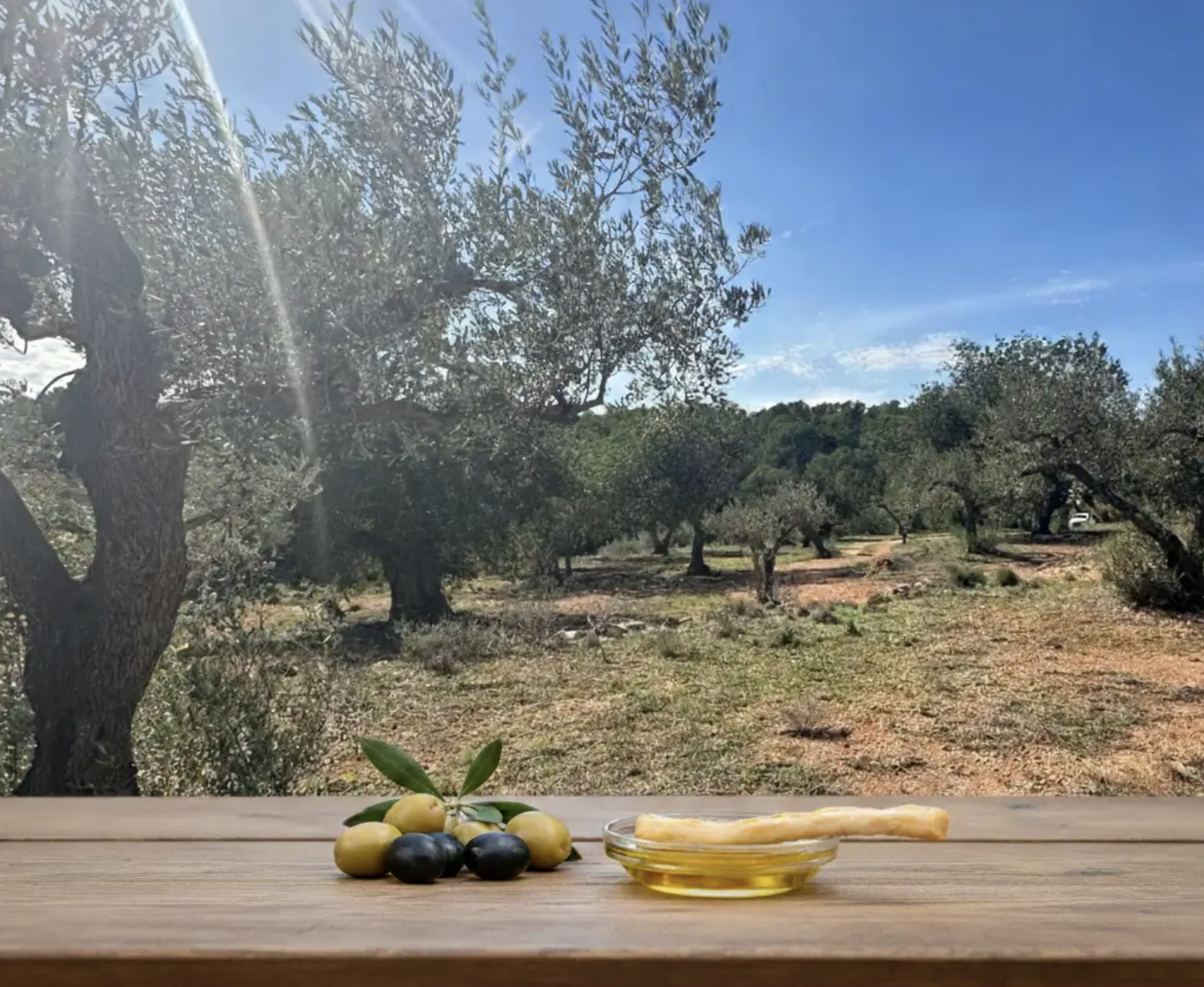 Pourquoi choisir une huile d’olive monovariétale ? L’exemple de la Farga