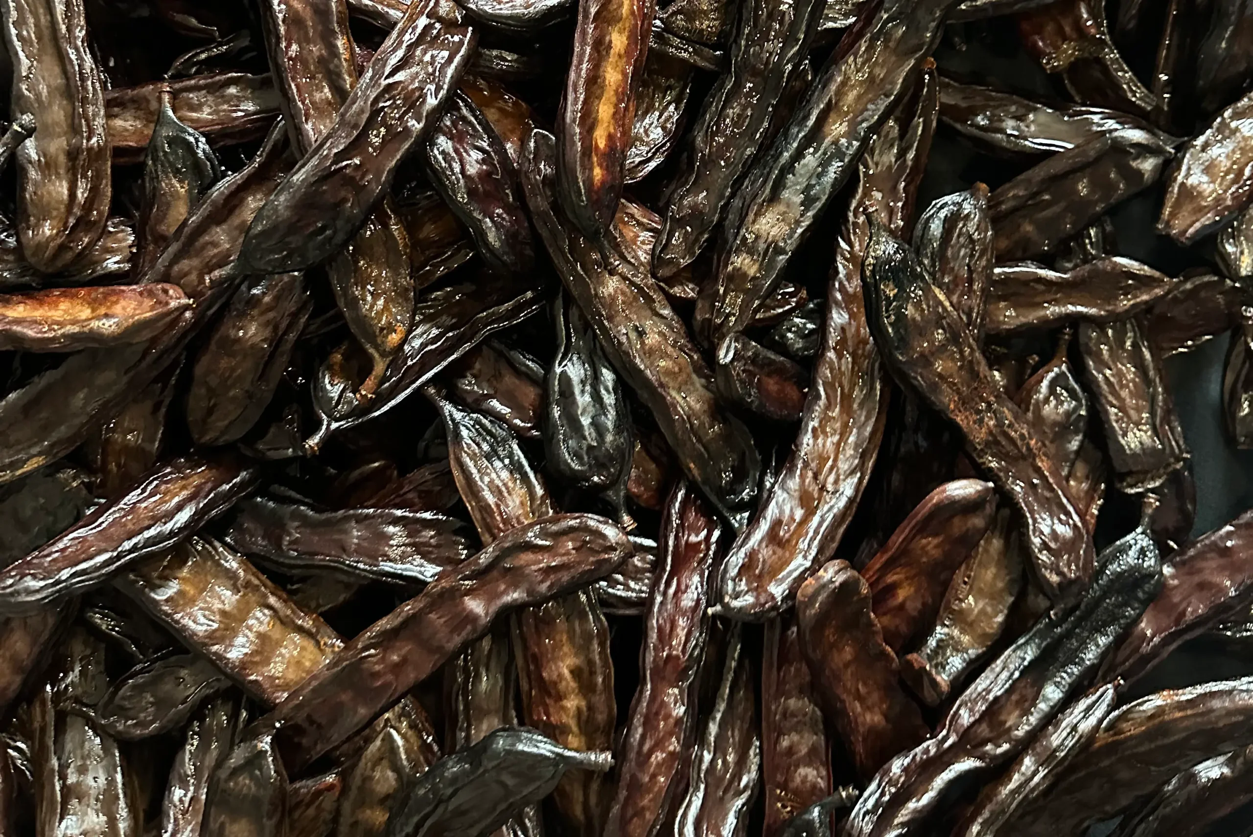 La caroube : ce fruit méditerranéen méconnu qui pousse sur notre terre en Espagne